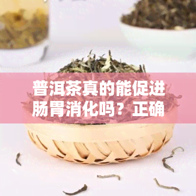 普洱茶真的能促进肠胃消化吗？正确的饮用方法是什么？