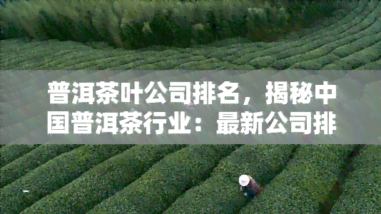 普洱茶叶公司排名，揭秘中国普洱茶行业：最新公司排名一览