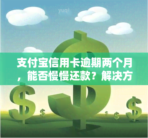 支付宝信用卡逾期两个月，能否慢慢还款？解决方案是什么？