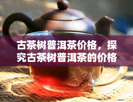 古茶树普洱茶价格，探究古茶树普洱茶的价格：一饼茶叶背后的价值与故事