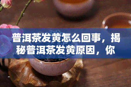 普洱茶发黄怎么回事，揭秘普洱茶发黄原因，你可能不知道的茶叶知识！