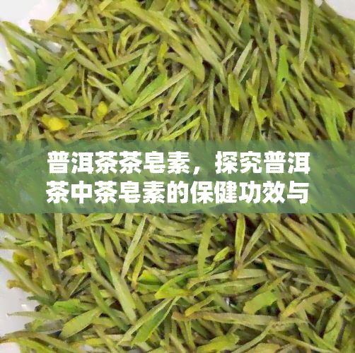 普洱茶茶皂素，探究普洱茶中茶皂素的保健功效与应用价值