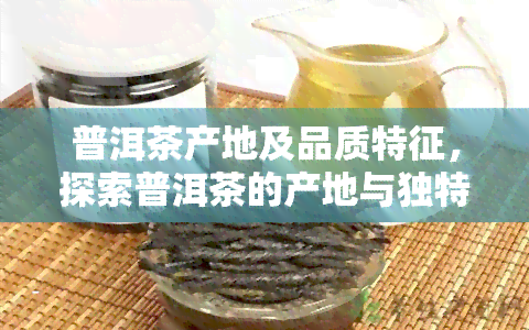 普洱茶产地及品质特征，探索普洱茶的产地与独特品质特征