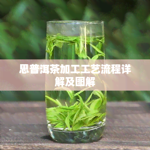 思普洱茶加工工艺流程详解及图解