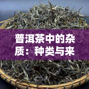 普洱茶中的杂质：种类与来源解析