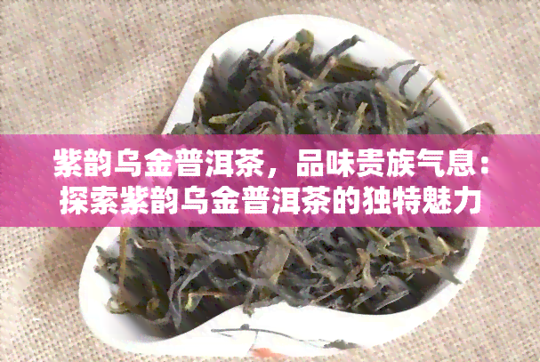 紫韵乌金普洱茶，品味贵族气息：探索紫韵乌金普洱茶的独特魅力