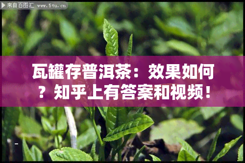 瓦罐存普洱茶：效果如何？知乎上有答案和视频！