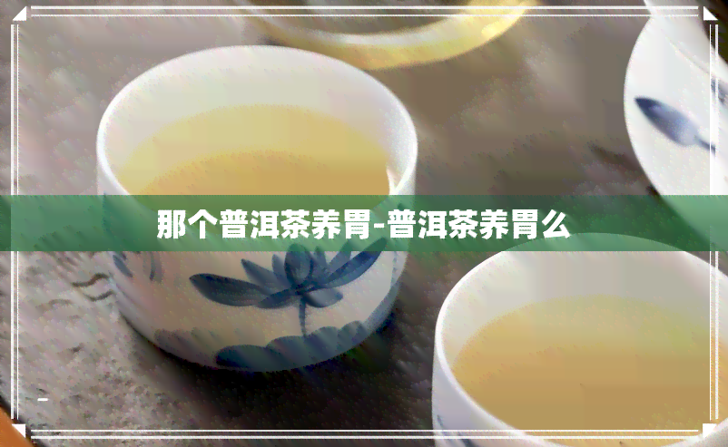 那个普洱茶养胃-普洱茶养胃么