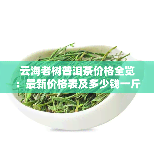 云海老树普洱茶价格全览：最新价格表及多少钱一斤