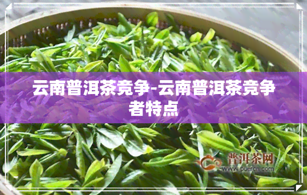 云南普洱茶竞争-云南普洱茶竞争者特点