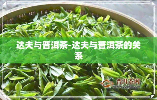 达夫与普洱茶-达夫与普洱茶的关系