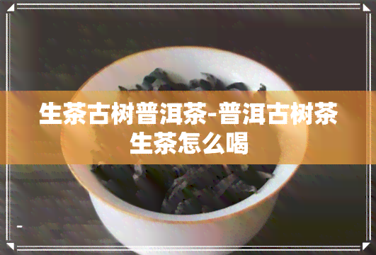 生茶古树普洱茶-普洱古树茶生茶怎么喝