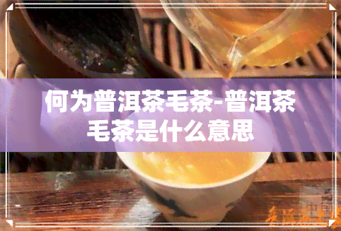 何为普洱茶毛茶-普洱茶毛茶是什么意思