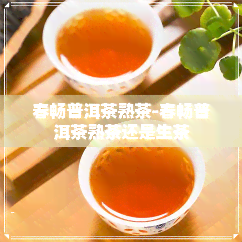 春畅普洱茶熟茶-春畅普洱茶熟茶还是生茶