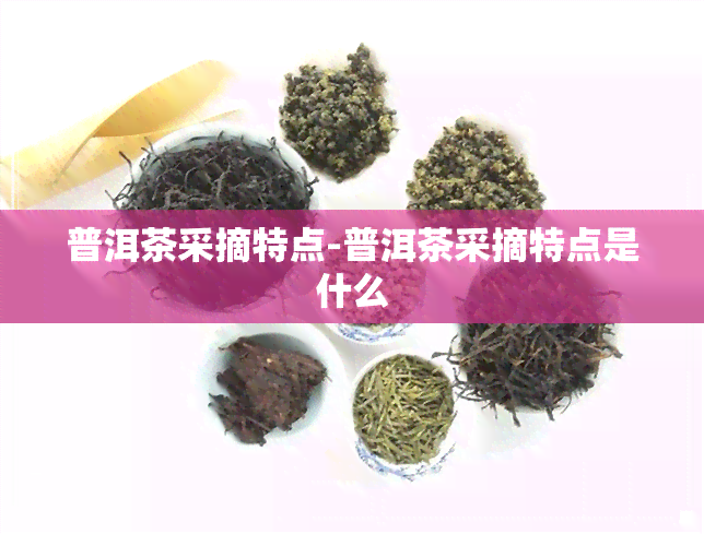 普洱茶采摘特点-普洱茶采摘特点是什么