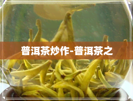 普洱茶炒作-普洱茶之