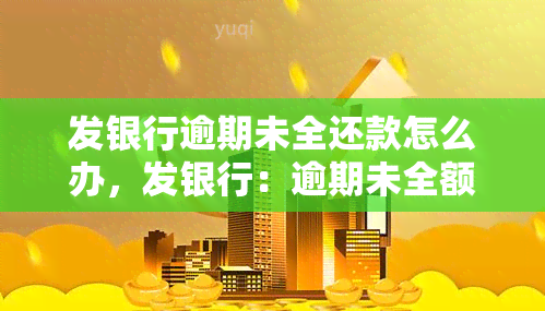 发银行逾期未全还款怎么办，发银行：逾期未全额还款的解决方法