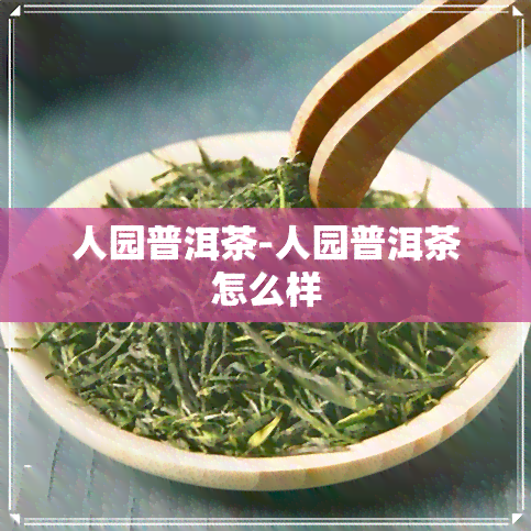 人园普洱茶-人园普洱茶怎么样