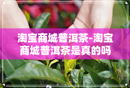 淘宝商城普洱茶-淘宝商城普洱茶是真的吗