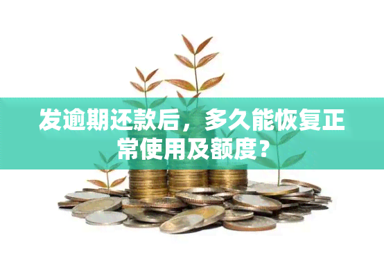 发逾期还款后，多久能恢复正常使用及额度？