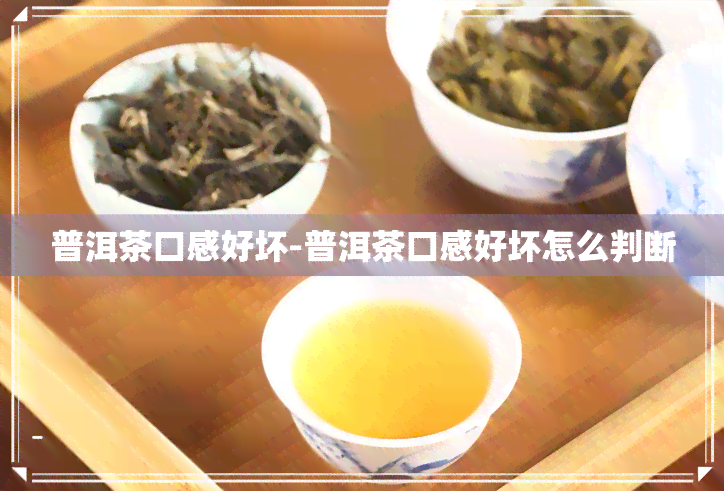 普洱茶口感好坏-普洱茶口感好坏怎么判断