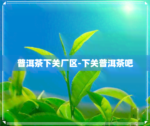 普洱茶下关厂区-下关普洱茶吧