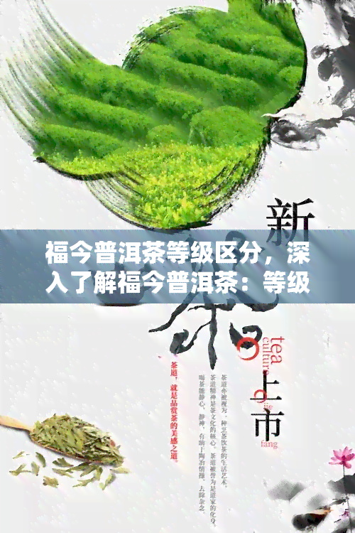 福今普洱茶等级区分，深入了解福今普洱茶：等级区分与品质特点