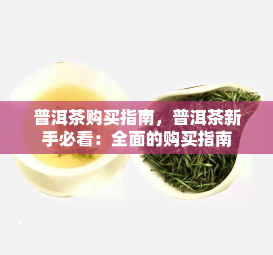 普洱茶购买指南，普洱茶新手必看：全面的购买指南