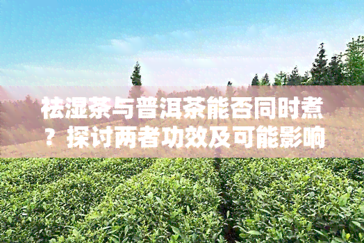 祛湿茶与普洱茶能否同时煮？探讨两者功效及可能影响