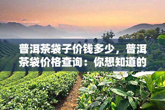 普洱茶袋子价钱多少，普洱茶袋价格查询：你想知道的都在这里！