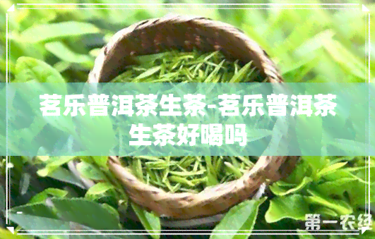 茗乐普洱茶生茶-茗乐普洱茶生茶好喝吗