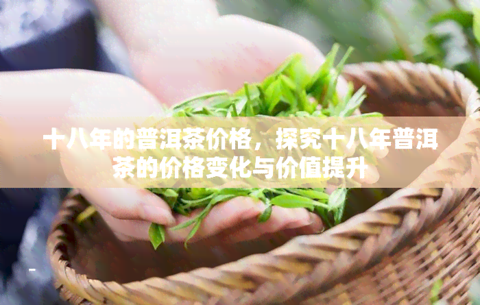 十八年的普洱茶价格，探究十八年普洱茶的价格变化与价值提升