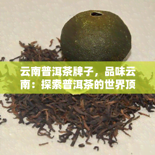 云南普洱茶牌子，品味云南：探索普洱茶的世界顶级