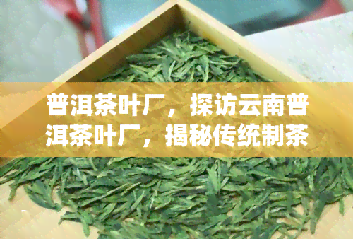 普洱茶叶厂，探访云南普洱茶叶厂，揭秘传统制茶工艺与现代科技的完美融合