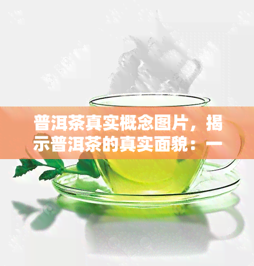 普洱茶真实概念图片，揭示普洱茶的真实面貌：一幅令人惊叹的概念图片