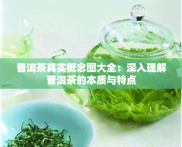 普洱茶真实概念图大全：深入理解普洱茶的本质与特点