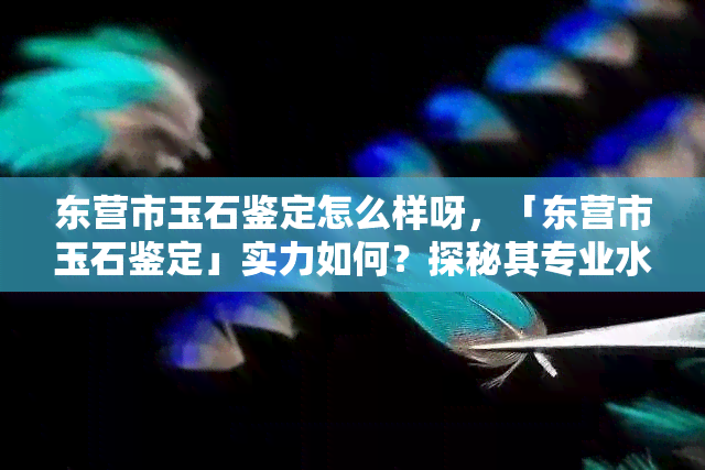 东营市玉石鉴定怎么样呀，「东营市玉石鉴定」实力如何？探秘其专业水平与服务质量