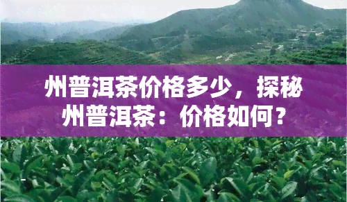 州普洱茶价格多少，探秘州普洱茶：价格如何？