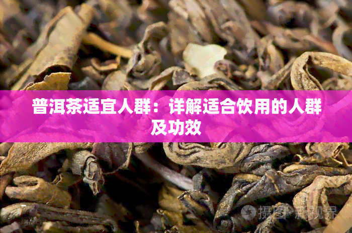 普洱茶适宜人群：详解适合饮用的人群及功效