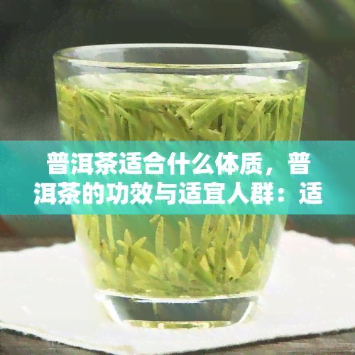 普洱茶适合什么体质，普洱茶的功效与适宜人群：适合哪种体质饮用？