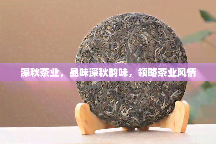 深秋茶业，品味深秋韵味，领略茶业风情