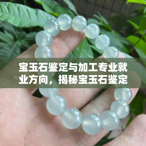 宝玉石鉴定与加工专业就业方向，揭秘宝玉石鉴定与加工专业的就业前景及方向