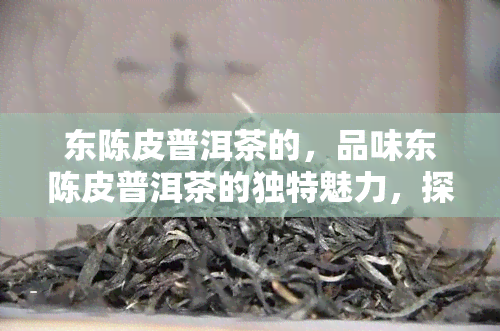 东陈皮普洱茶的，品味东陈皮普洱茶的独特魅力，探索故事