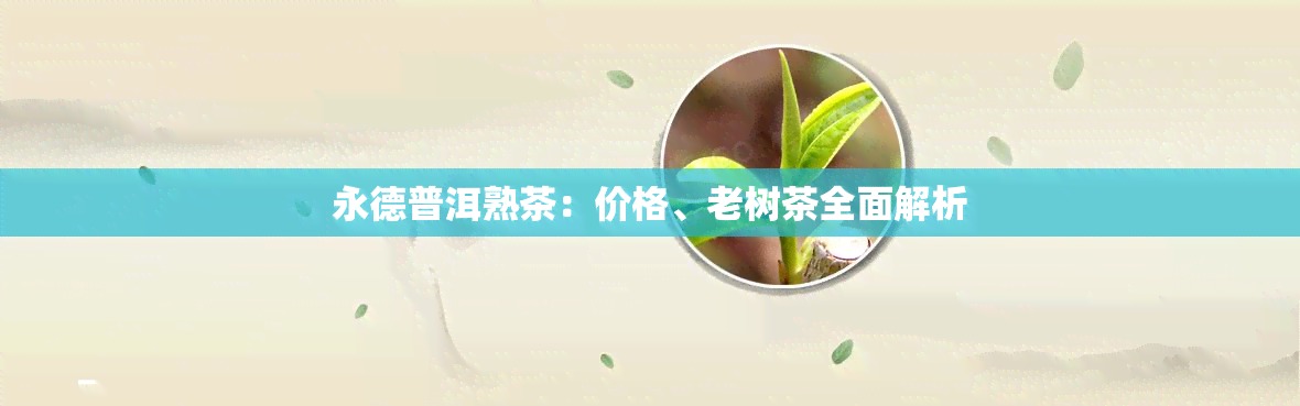 永德普洱熟茶：价格、老树茶全面解析