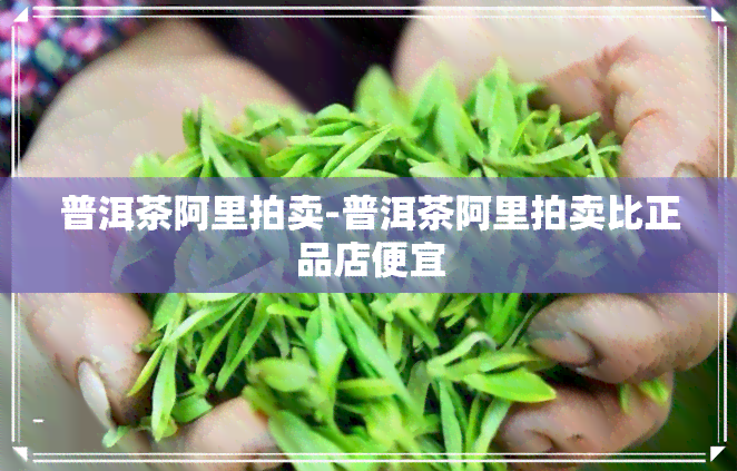 普洱茶阿里拍卖-普洱茶阿里拍卖比正品店便宜