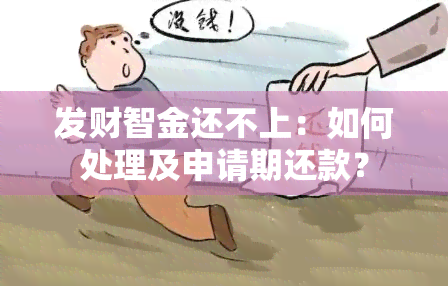 发财智金还不上：如何处理及申请期还款？