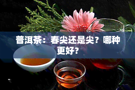 普洱茶：春尖还是尖？哪种更好？