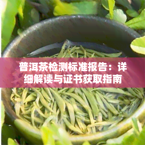 普洱茶检测标准报告：详细解读与证书获取指南