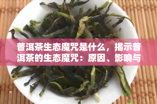 普洱茶生态魔咒是什么，揭示普洱茶的生态魔咒：原因、影响与解决方案