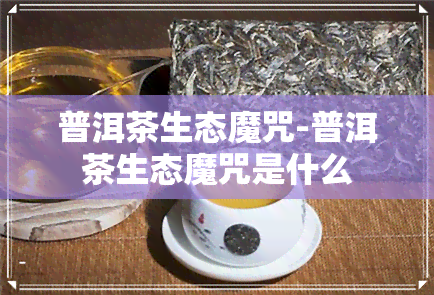 普洱茶生态魔咒-普洱茶生态魔咒是什么